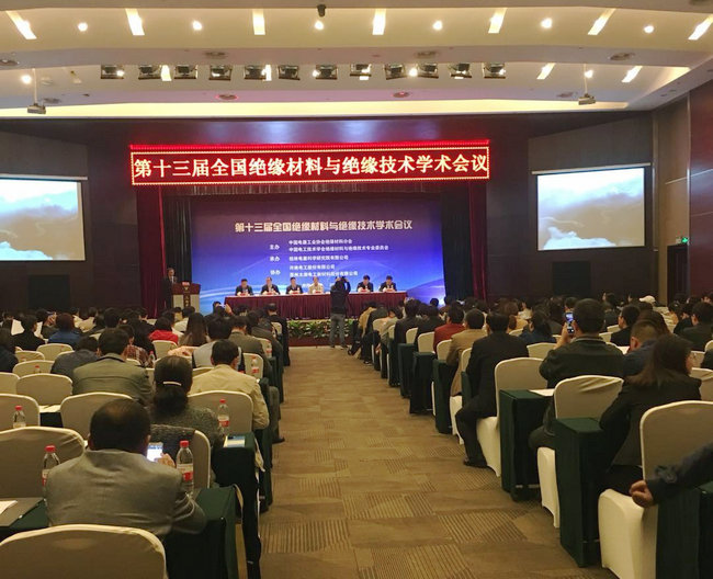 pg电子参加第十三届全国绝缘材料与绝缘技术学术会议！