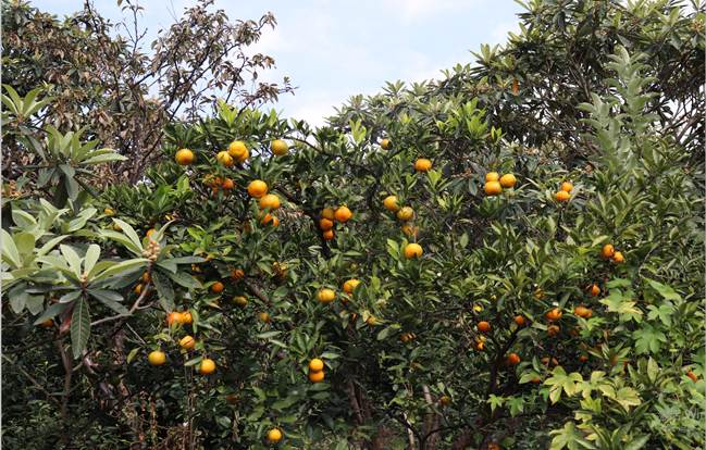 激发身体潜能 人生无限可能！---pg电子14周年司庆暨环西山20km团建活动