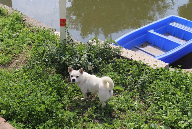 激发身体潜能 人生无限可能！---pg电子14周年司庆暨环西山20km团建活动